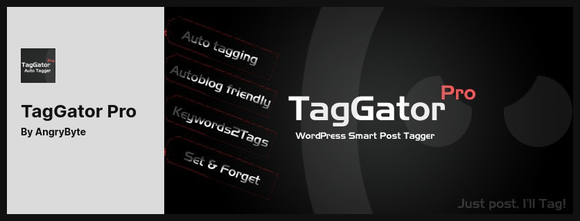 Wtyczka TagGator Pro — wtyczka do automatycznego tagowania WordPress