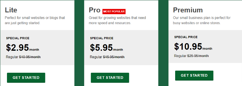 Greengeeks-Preise