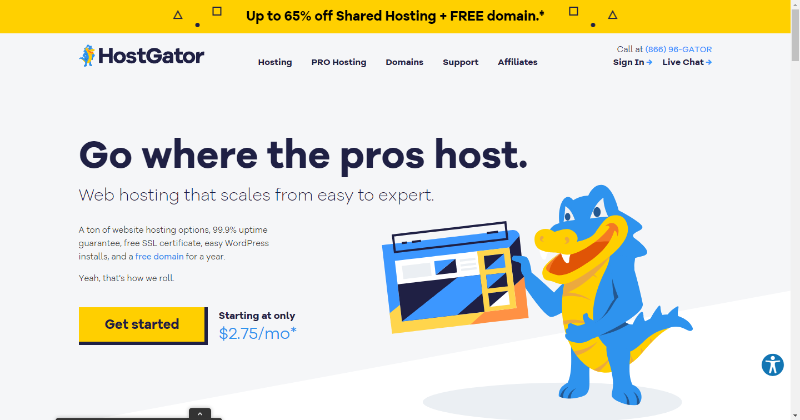 Hostgator-Homepage