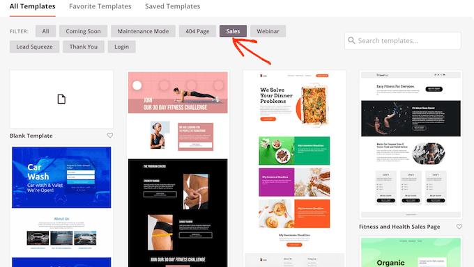 Готовые шаблоны SeedProd SeedProd's ready-made templates