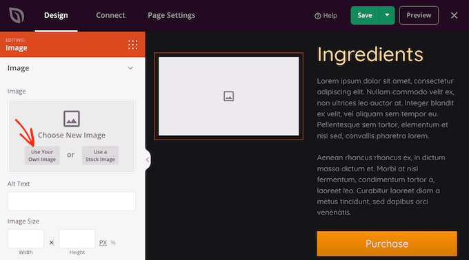 Добавление изображения в дизайн SeedProd Adding an image to your SeedProd design