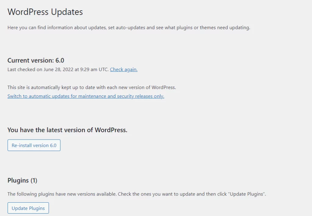 WordPress aktualisiert Vor- und Nachteile