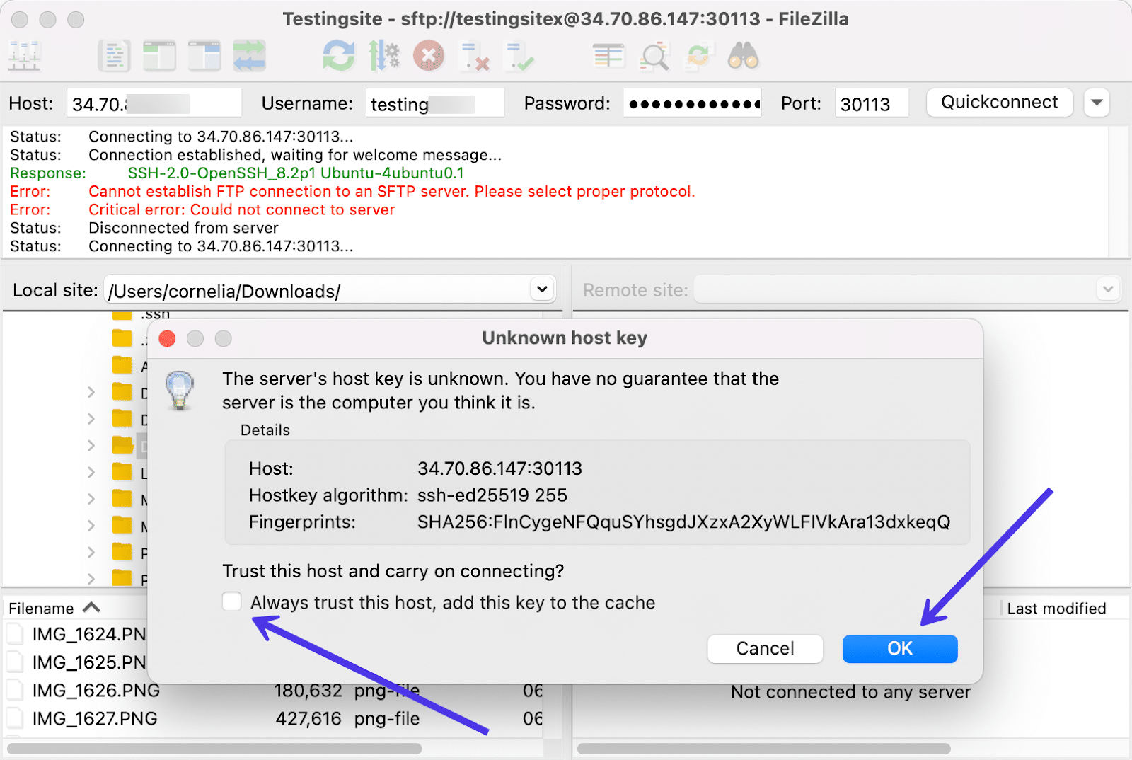 Powiedz FileZilla, że ufasz hostowi na przyszłość.