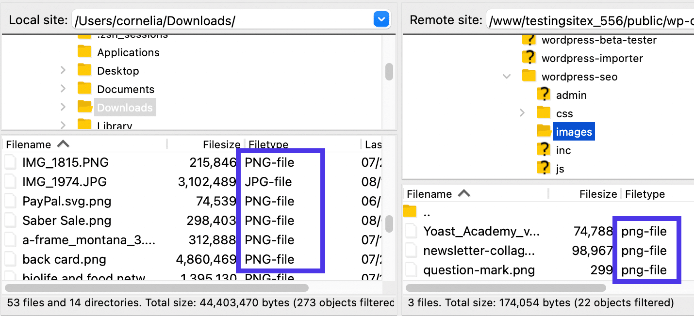 Tylko pliki graficzne pojawiają się w FileZilla z aktywnym filtrem.