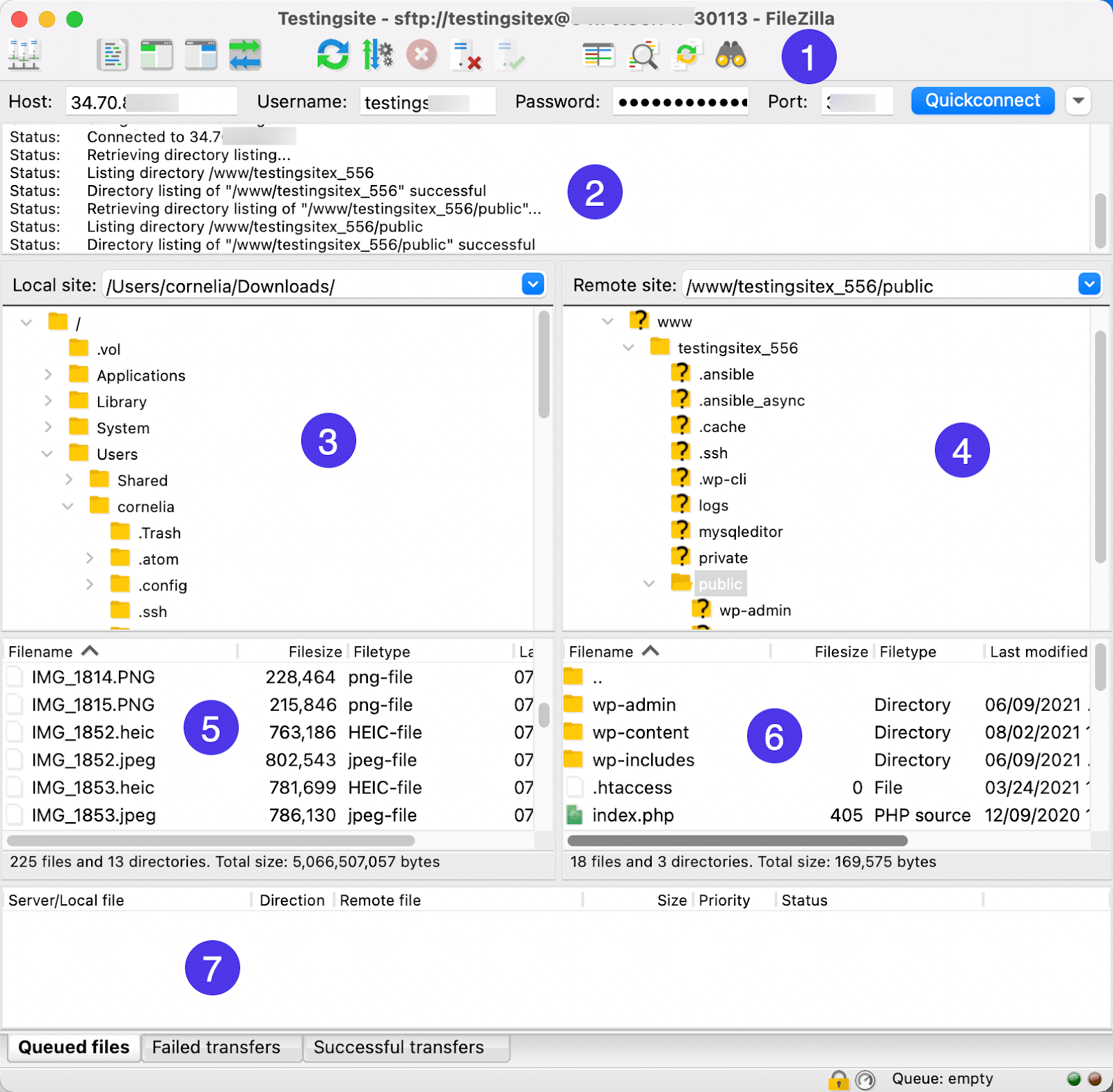 Pełny widok FileZilla i jego wielu funkcji.