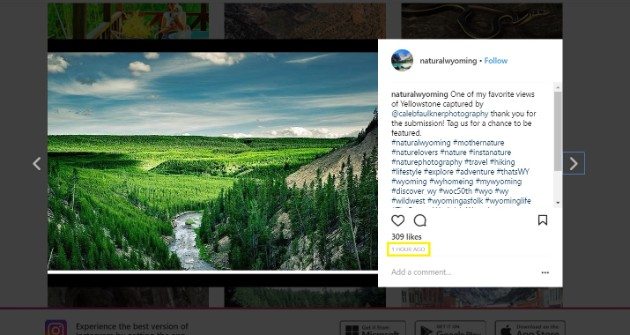 在 wordpress 上嵌入照片