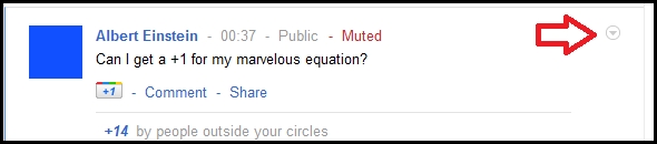 muted appears