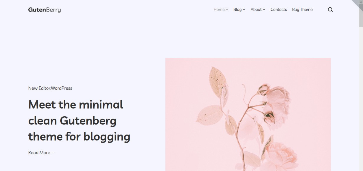 Tema wordpress basato su Gutenberry Gutenberg