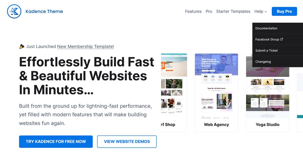 Homepage del tema di Kadence