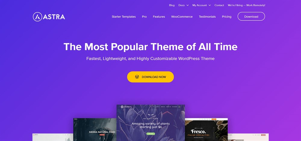 Astra En Hızlı WordPress teması
