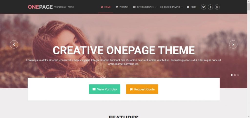 Demo OnePage Theme