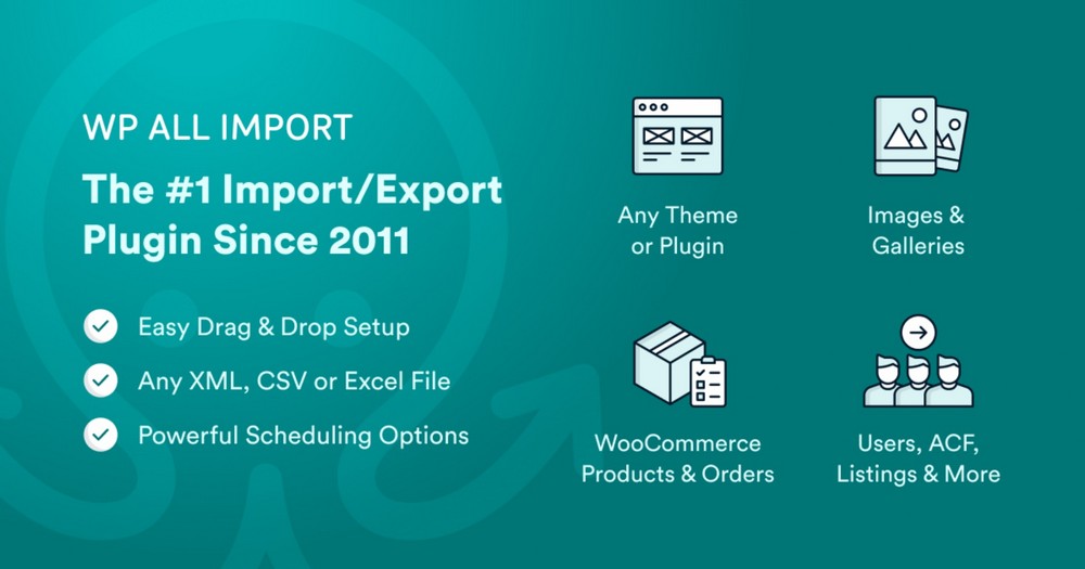 Complemento WP All Export
