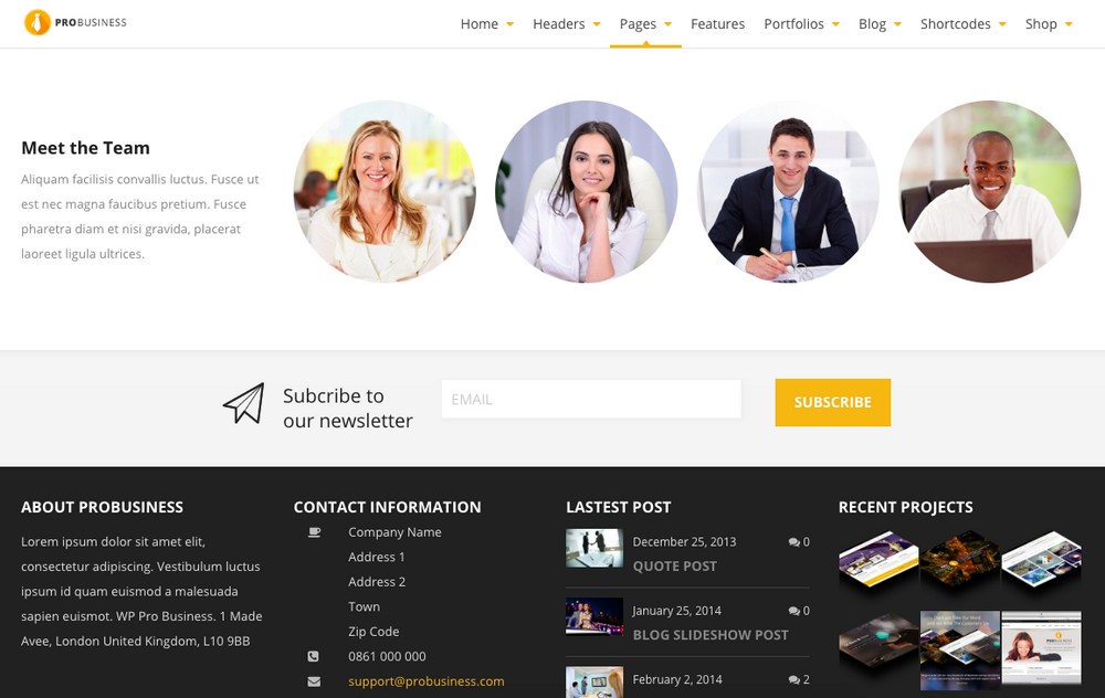 Tema WordPress professionale