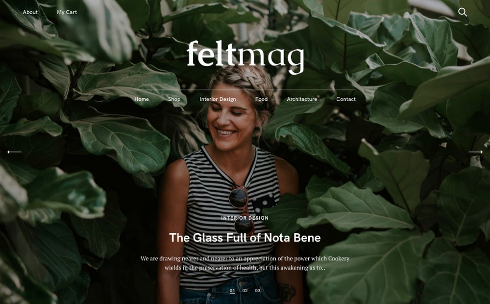Tema WordPress in feltro