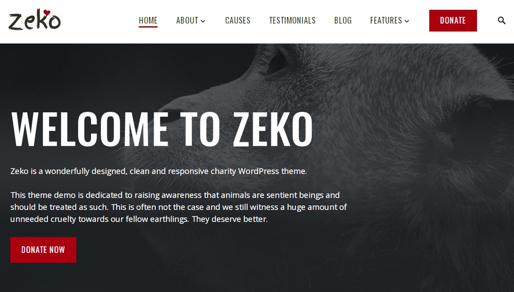 Tema Zeko WordPress