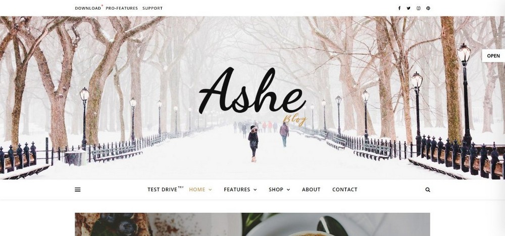 Tema WordPress Ashe