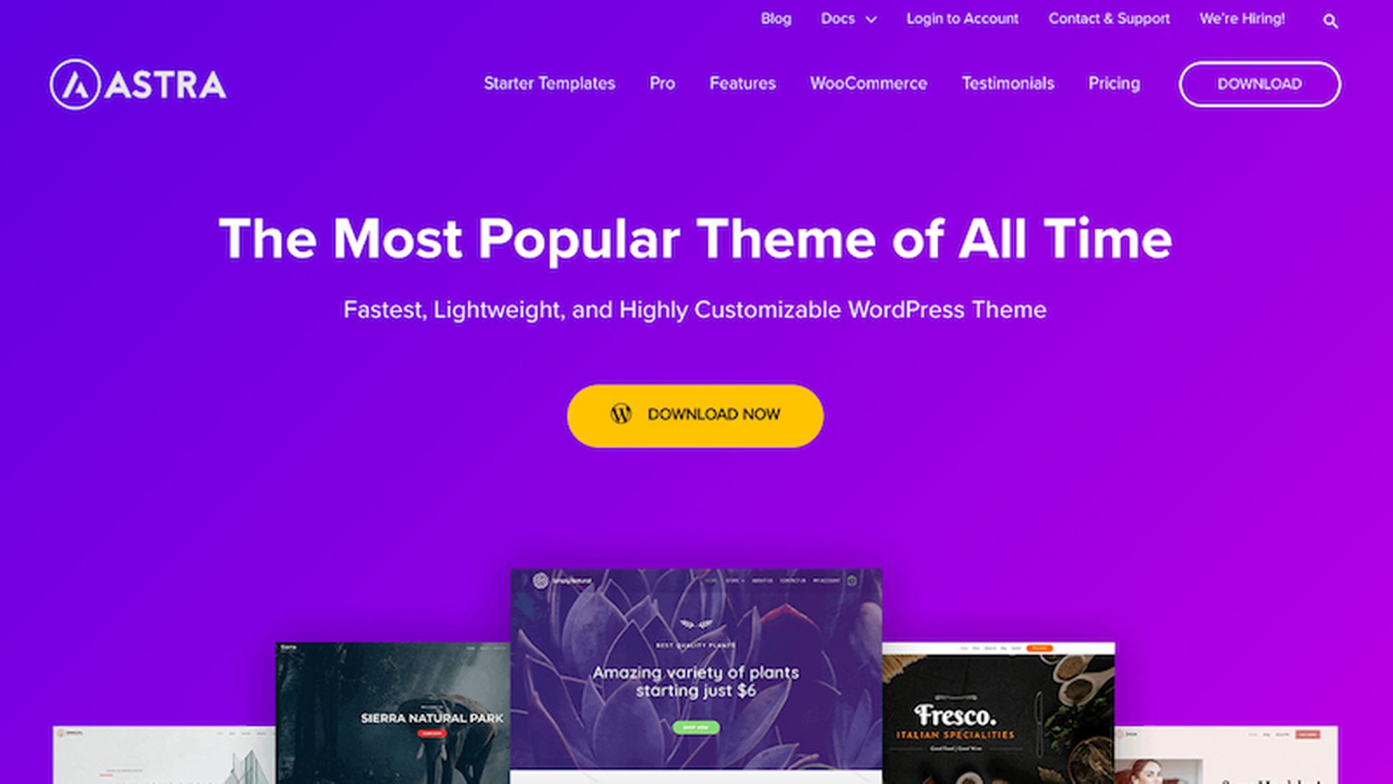 Il tema WordPress più popolare di Astra