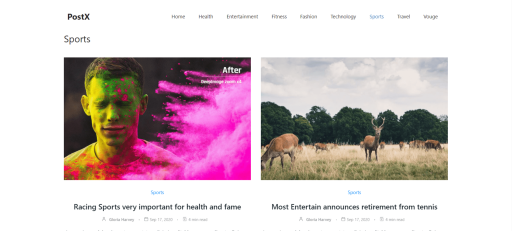 WordPress: mostra i post di una categoria specifica a pagina 12 Custom Category Page