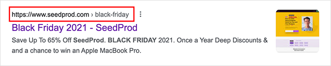 пример URL-адреса целевой страницы seedprod-black-friday - SeedProd SeedProd black friday landing page url example