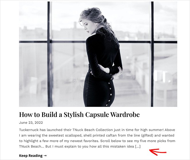пример пользовательского поста-отрывка — SeedProd WordPress custom post excerpt example