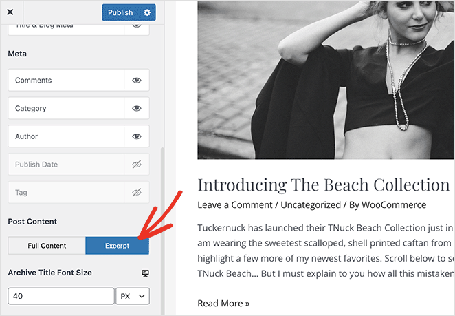 post-except-WordPress-настройщик - SeedProd Turn on the post excerpt button