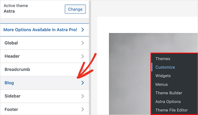 блог-настройки-WordPress-настройщик - SeedProd blog settings WordPress customizer