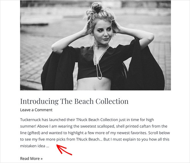 сообщение в блоге с отрывком - SeedProd Fix WordPress post excerpt not showing