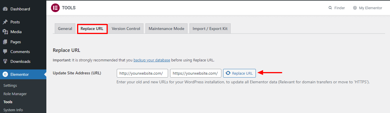 Cómo solucionar problemas de contenido mixto en WordPress 10 Elementor Replace URL Settings