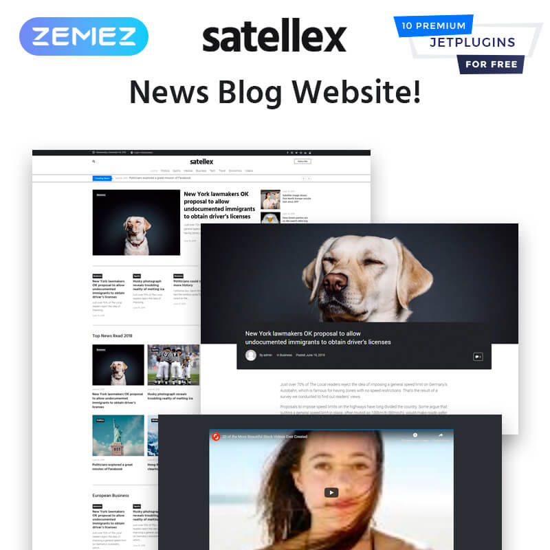 Satellex-ニュースブログ多目的クラシックWordPressテーマ