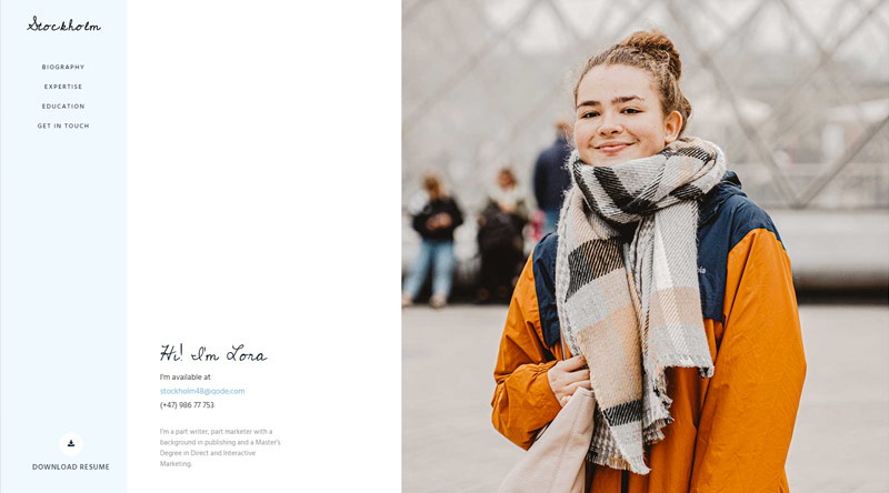 5+ Tema WordPress Portofolio Satu Halaman Terbaik yang Harus Anda Lihat Stockholm vCard WordPress Themes