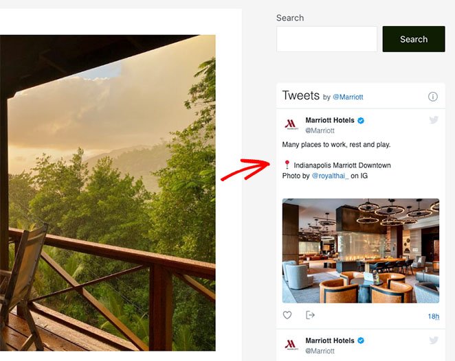 twitter-widget-WordPress-örnek - SeedProd Simple twitter widget WordPress example