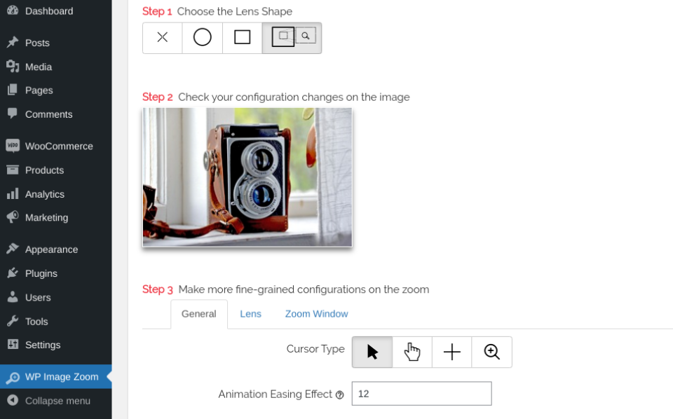 Opsi plugin WP Image Zoom.