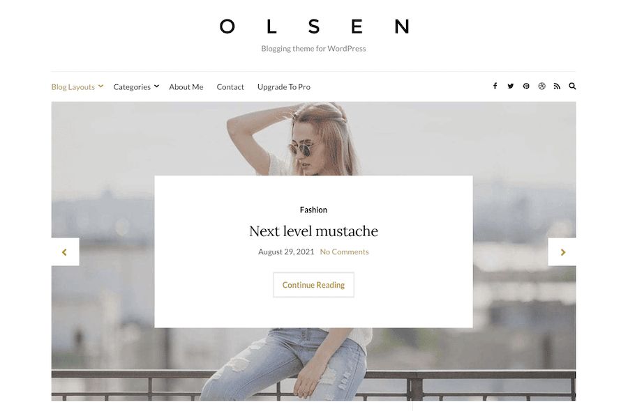 Ein Screenshot des Olsen Light WordPress-Themes.