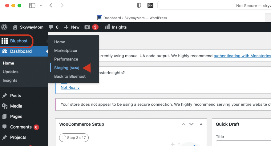 Bluehost WordPress-Staging-Site