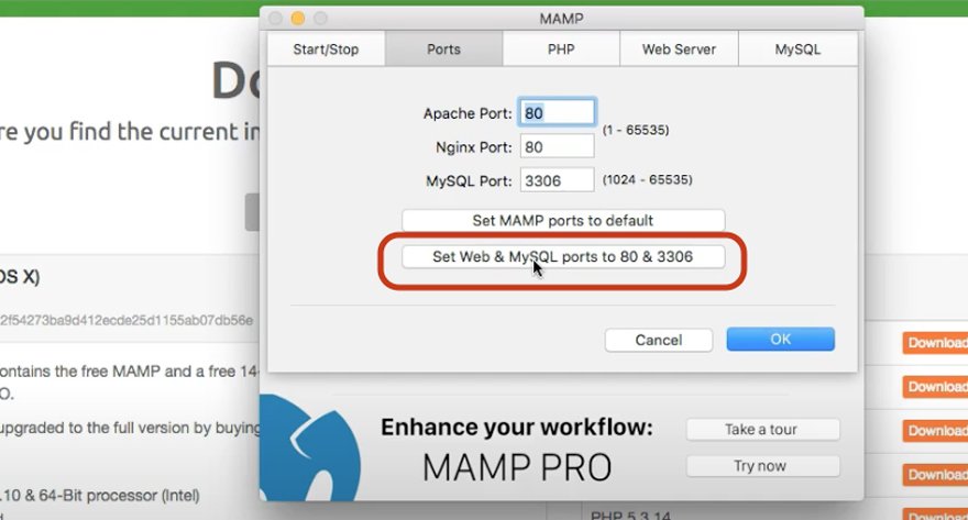 Einrichten von MAMP für die WordPress-Staging-Site