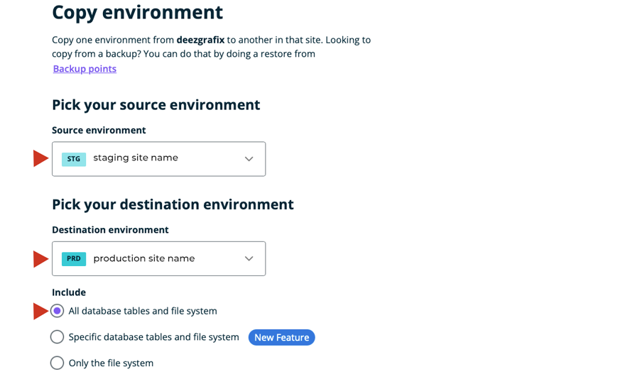 Kopieren der WPEngine WordPress Staging-Site