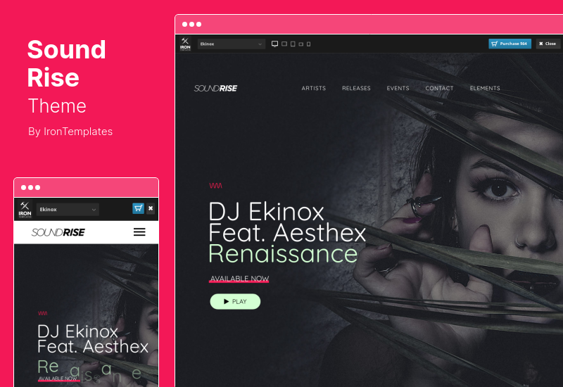 Thème SoundRise - Thème WordPress pour artistes, producteurs et maisons de disques