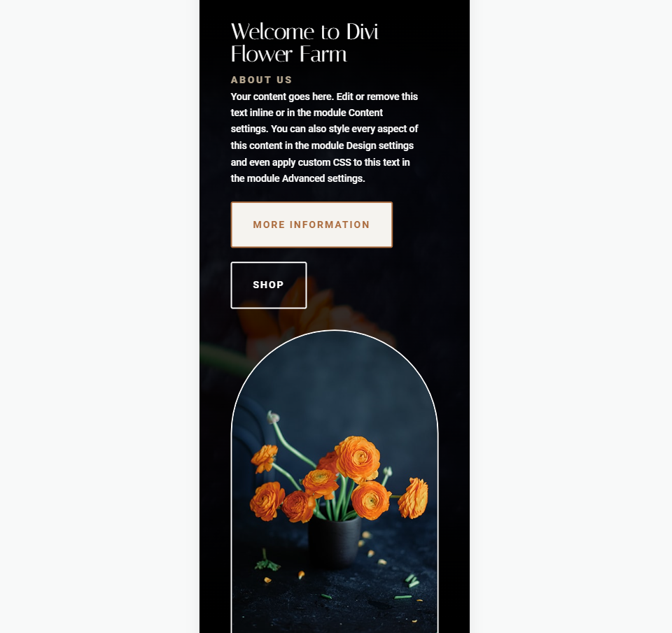 Exemple d'image d'en-tête pleine largeur du téléphone