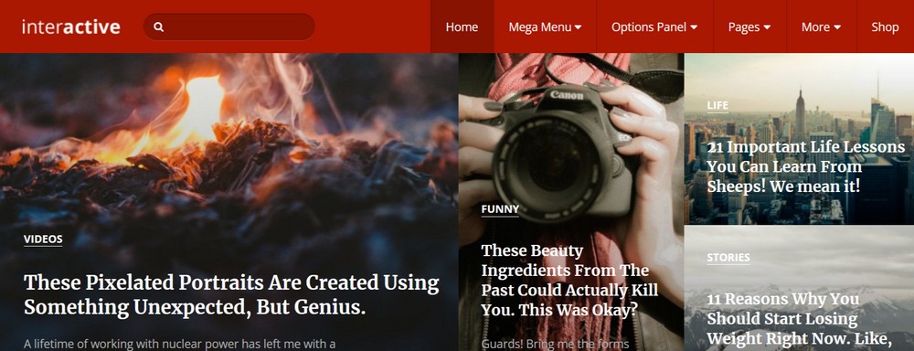Tema interactivă wordpress