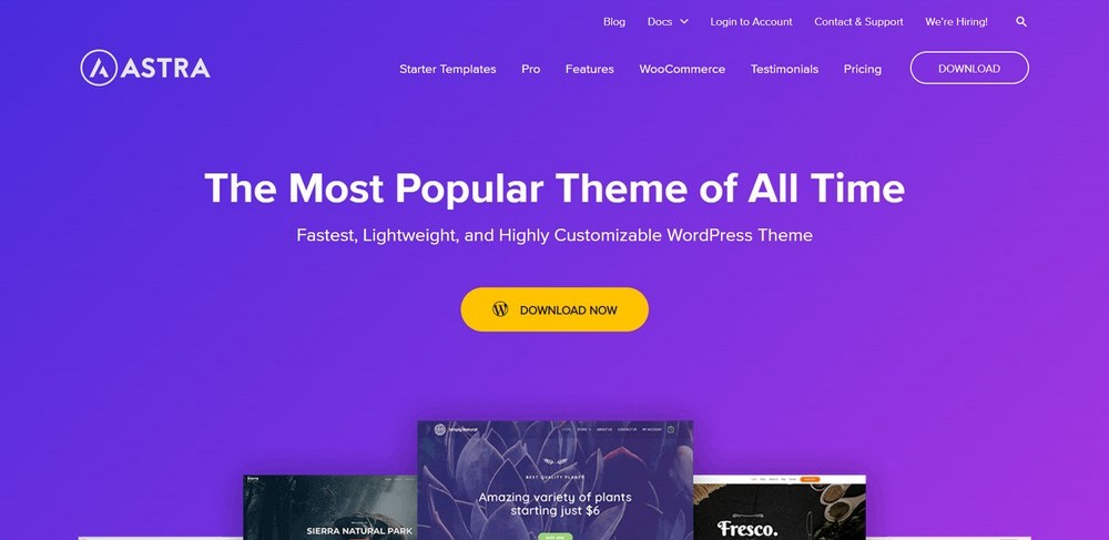 Tema WordPress pentru cea mai bună recenzie a filmului Astra