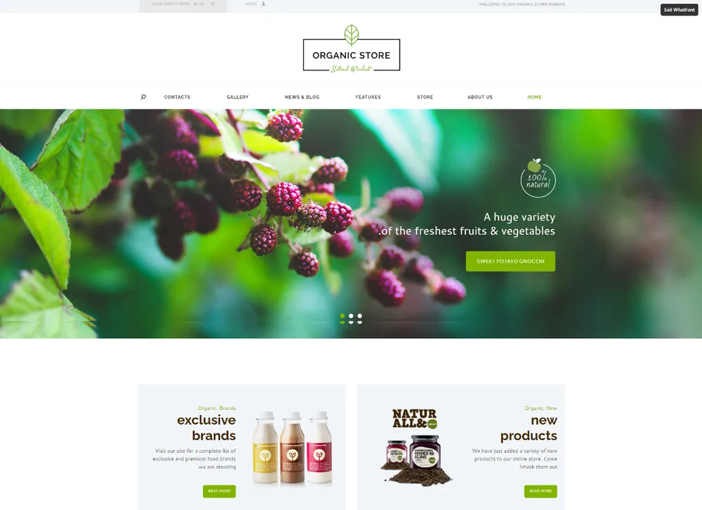 Organic Store - Eco Products Shop WordPress テーマ + RTL