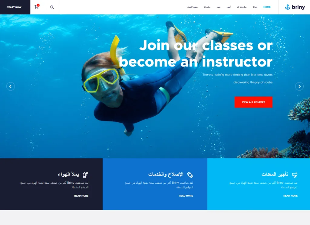 Briny - スキューバ ダイビング スクール & ウォーター スポーツ WordPress テーマ + RTL