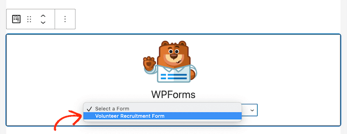 向您的 WordPress 网站添加志愿者申请表 Adding a volunteer application form to your WordPress website
