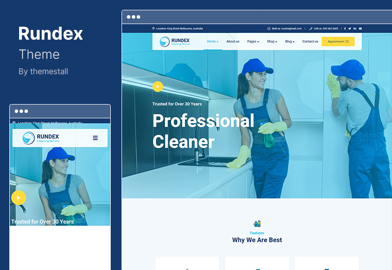 Rundex Theme - Layanan Pembersihan Tema WordPress