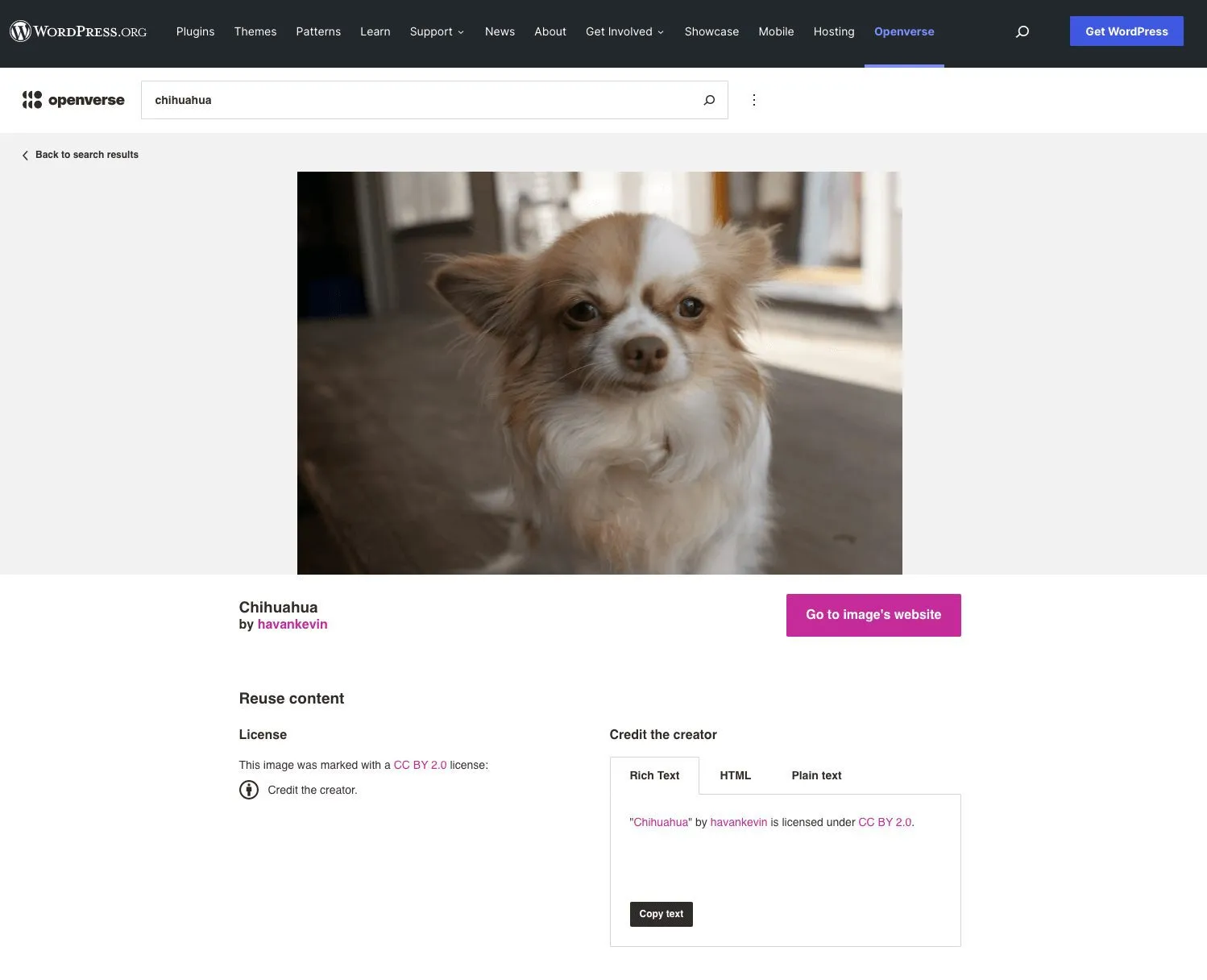 Foto de cachorro Chihuahua sob licença criativa comum via Openverse