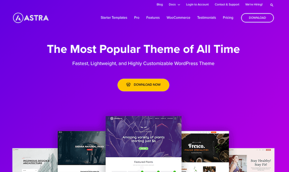 Astra 美丽的 WordPress 主题