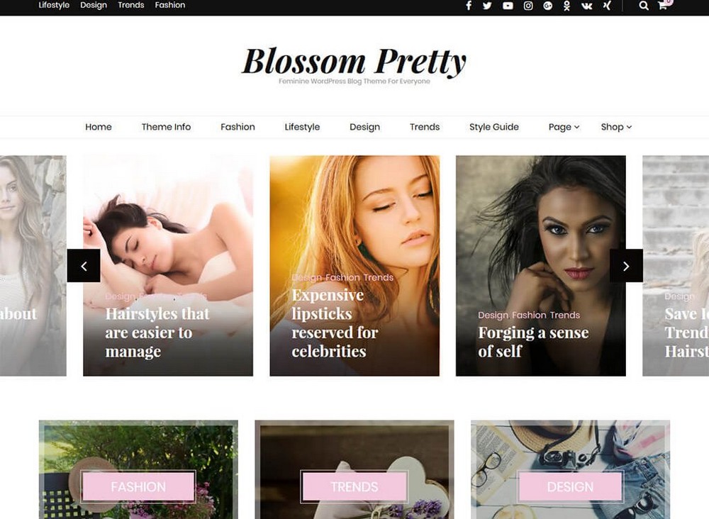 Blossom 漂亮的 WordPress 主题