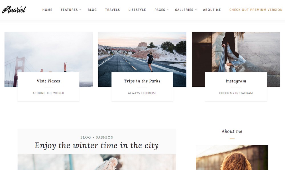 Anariel WordPress 主题