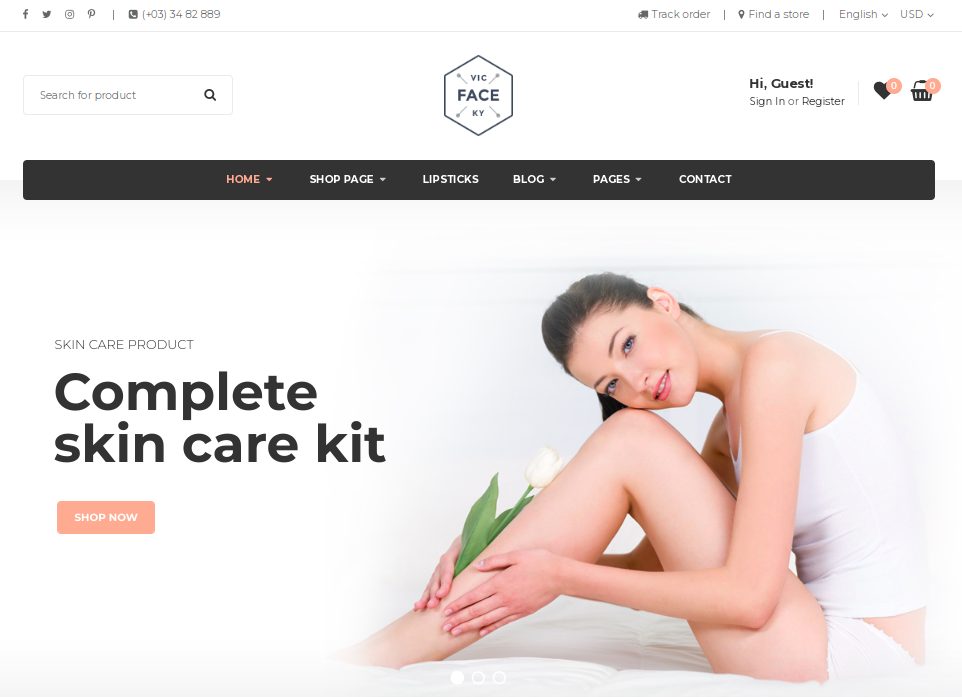 SNS Vicky WordPress 主题