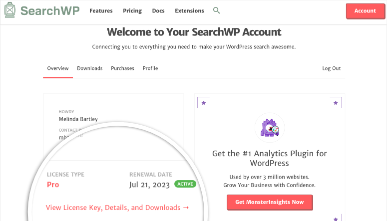 searchwp account - IsItWP - Detector de temas de WordPress gratuito searchwp account